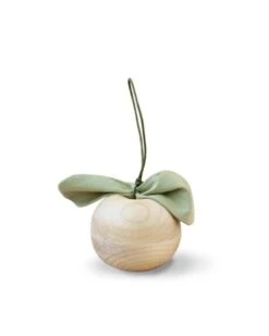 Apple Friend Wooden Toy