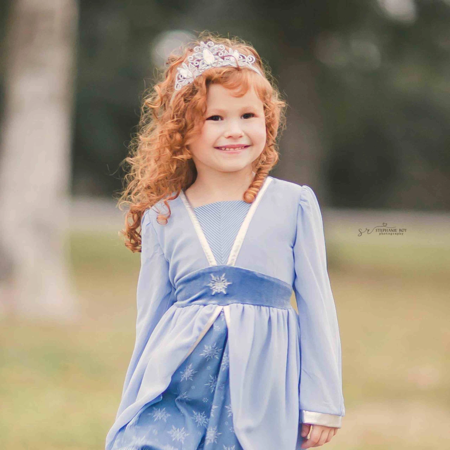 Raven Princess Crown - Silver 4 Raven Princess Crown - Silver - Image 2