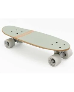 Banwood Skateboard In Mint