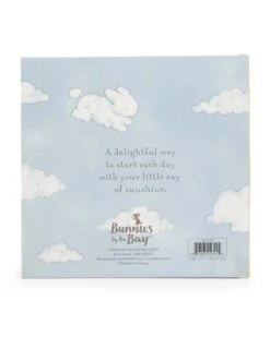 Little Sunshine Board Book -LITTLE Baby Gear little bunnies by the bay little sunshine board book 46807128375588
