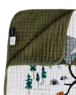 National Parks Quilt