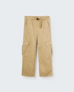 Jake Cargo Pant In Coffee