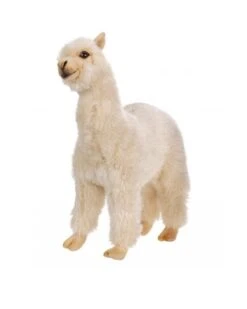 Alpaca