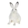 White Hare -LITTLE Baby Gear little hansa toys white hare 5008119037994