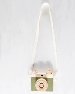 Classic Camera In Moss