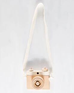 Classic Camera In Tan