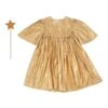Meri-Meri Gold Angel Dress