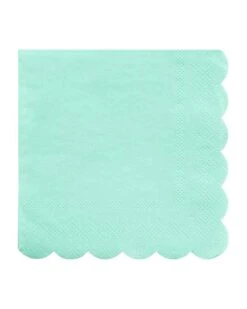Meri-Meri Mint Small Napkin
