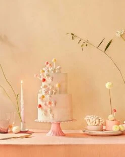 Meri-Meri Mushroom Birthday Candles -LITTLE Baby Gear little meri meri mushroom birthday candles 41820002779428