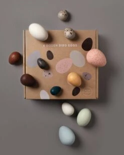 A Dozen Bird Eggs In A Box