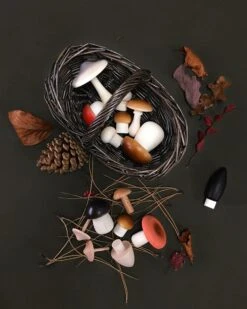 Dark Forest Mushroom Basket