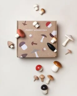 Forest Mushrooms In A Box