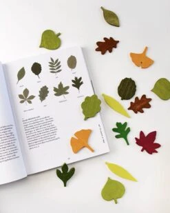 Woodland Leaves -LITTLE Baby Gear little moon picnic woodland leaves 28416093028394