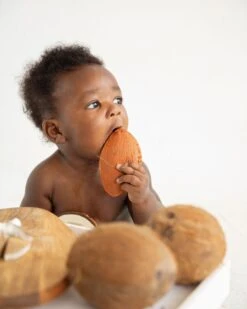 Coco The Coconut -LITTLE Baby Gear little oli carol coco the coconut 13327267069994
