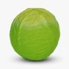 Green Cabbage Baby Ball -LITTLE Baby Gear little oli carol green cabbage baby ball 49372017918244