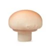 Manolo The Mushroom -LITTLE Baby Gear little oli carol manolo the mushroom 13327273132074