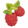 Valery The Raspberry