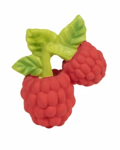 Valery The Raspberry