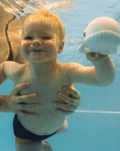 Walter The Whale -LITTLE Baby Gear little oli carol walter the whale 1155574252