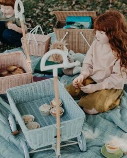 Rattan Wonder Wagon In Vintage Blue -LITTLE Baby Gear little olli ella rattan wonder wagon in vintage blue 28713861283882