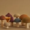 Mushrooms -LITTLE Baby Gear little raduga grez mushrooms 15514196279338