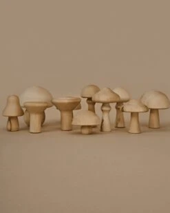Natural Mushrooms