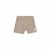 Boardshort In Multi-stripe