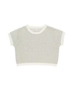 Boxy Crop Knit Tee In Sage Stripe