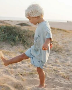 Relaxed Tee In Whale -LITTLE Baby Gear little rylee cru relaxed tee in whale 1166415668