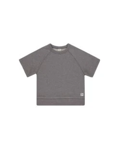 Short Sleeve Sweatshirt In Heathered Grey