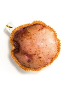 Teeny Tiny Market Pastusa Potato