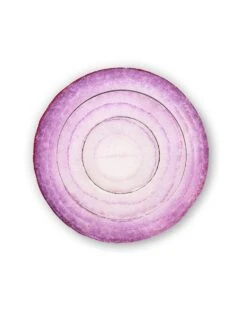 Teeny Tiny Market Red Onion