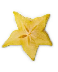 Teeny Tiny Market Starfruit