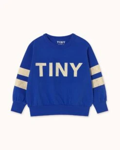 Stripes Logo Sweatshirt In Ultramarine