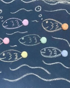 Seashells Handmade Sidewalk Chalk -LITTLE Baby Gear little twee seashells handmade sidewalk chalk 51214163050788