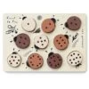 Count To 10 Ladybugs Wooden Tray Puzzle -LITTLE Baby Gear little wee gallery count to 10 ladybugs wooden tray puzzle 40580028039460